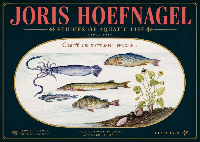 Joris Hoefnagel Comitẽ Sibi Ducit Sepia Percam. No5 - Poszter