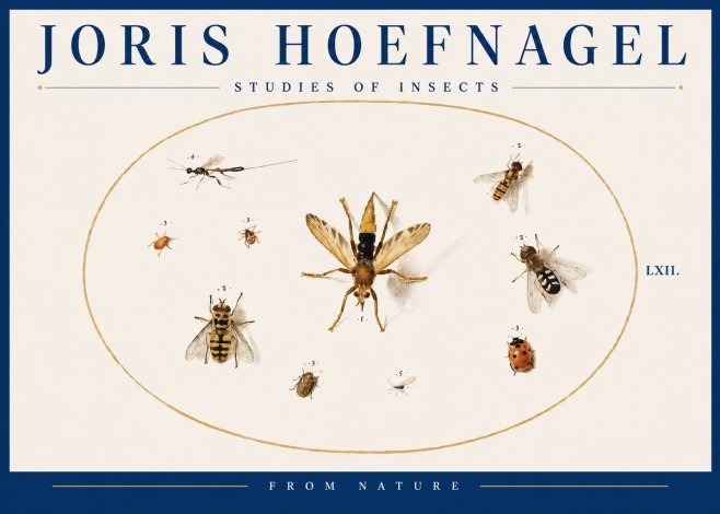 Joris Hoefnagel Studies of Insects IV No4 - Poszter