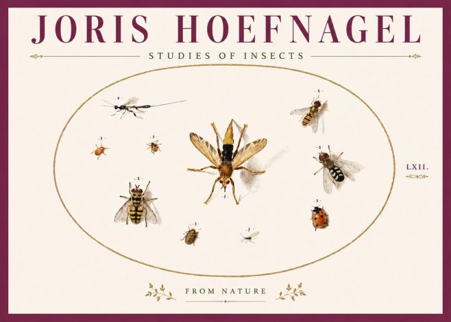 Joris Hoefnagel Studies of Insects IV No6 - Poszter