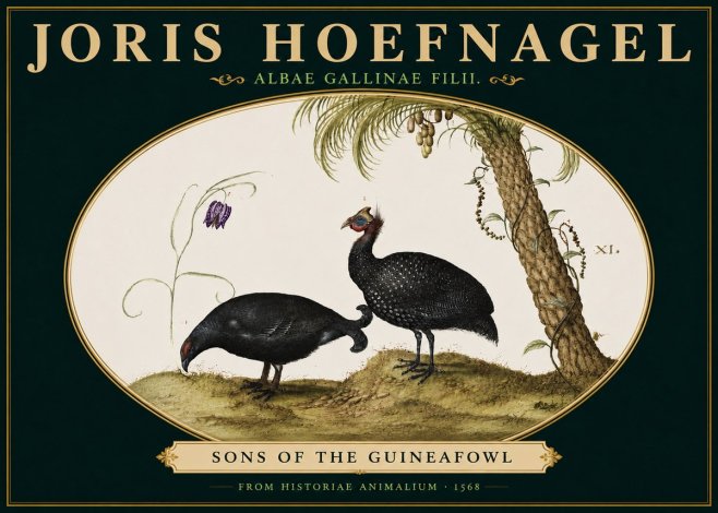Joris Hoefnagel Albae Gallinae Filii. No5 - Poszter