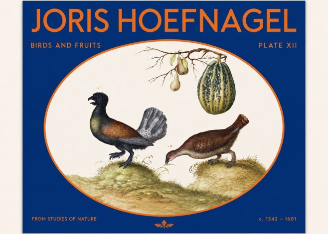 Joris Hoefnagel A Cock and Hen of the Woods with Pears and Gourd No2 - Poszter