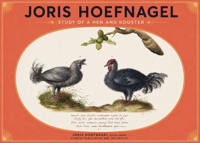 Joris Hoefnagel Study of a Hen and Rooster No3 - Poszter