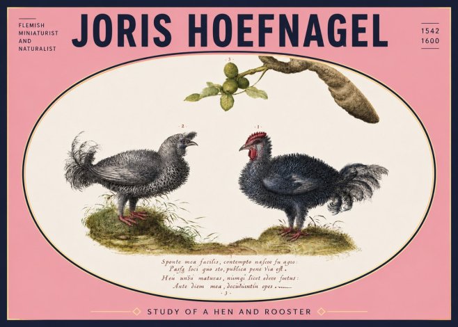 Joris Hoefnagel Study of a Hen and Rooster No5 - Poszter