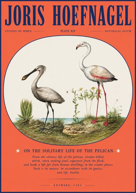 Joris Hoefnagel The Solitary Sanctuary of the Spoonbill and the Flamingo No4 - Poszter