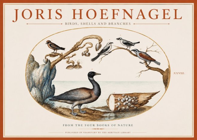 Joris Hoefnagel Birds, Shells and Branches No3 - Poszter