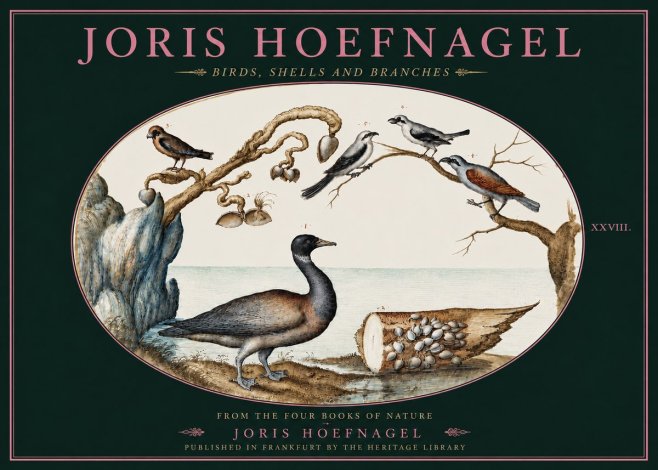 Joris Hoefnagel Birds, Shells and Branches No4 - Poszter