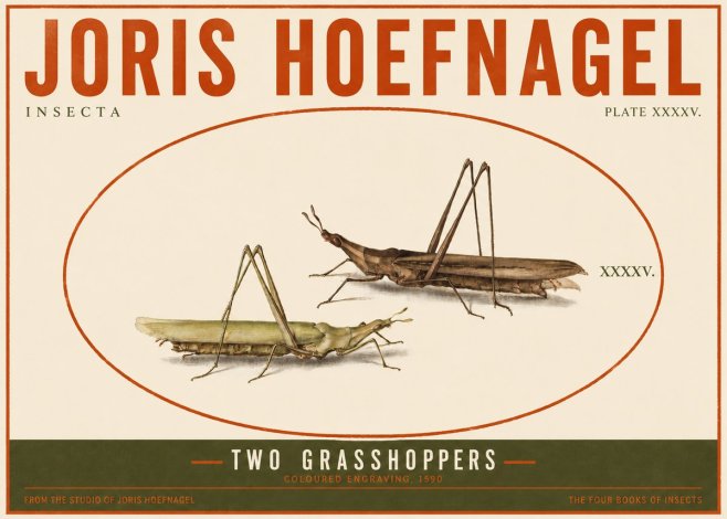 Joris Hoefnagel Two Grasshoppers No4 - Poszter