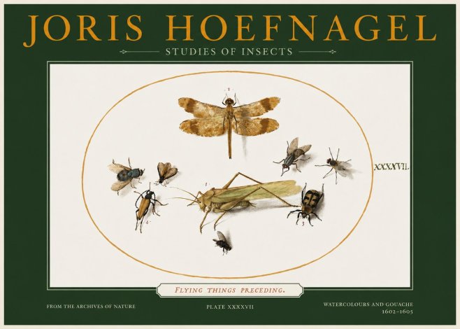 Joris Hoefnagel Flying Things Preceding. No2 - Poszter