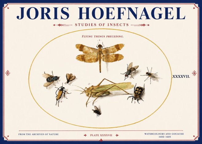 Joris Hoefnagel Flying Things Preceding. No4 - Poszter