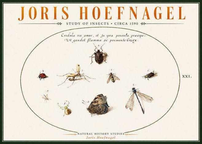 Joris Hoefnagel Study of Insects • Circa 1590 No6 - Poszter