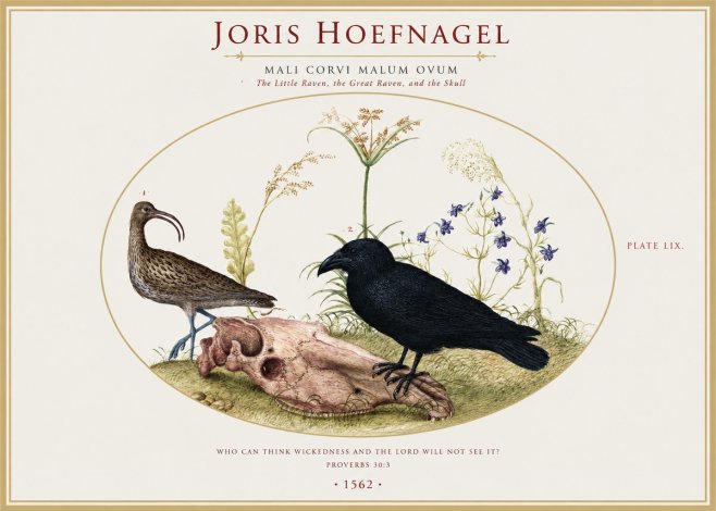 Joris Hoefnagel The Little Raven, the Great Raven, and the Skull No1 - Poszter