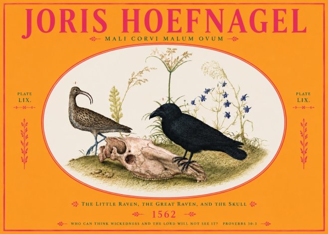 Joris Hoefnagel The Little Raven, the Great Raven, and the Skull No4 - Poszter
