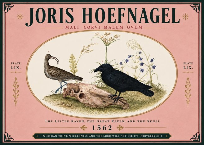 Joris Hoefnagel The Little Raven, the Great Raven, and the Skull No5 - Poszter