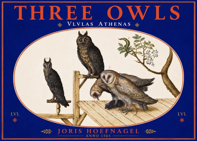Joris Hoefnagel Vlvlas Athenas No5 - Poszter