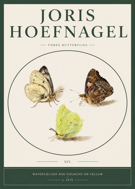 Joris Hoefnagel Three Butterflies II No2 - Poszter