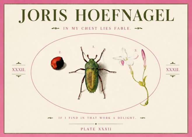 Joris Hoefnagel In My Chest Lies Fable No3 - Poszter