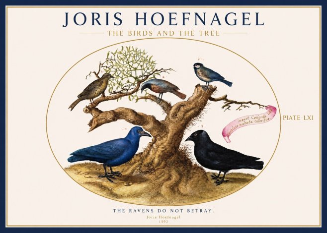 Joris Hoefnagel The Birds and the Tree No1 - Poszter