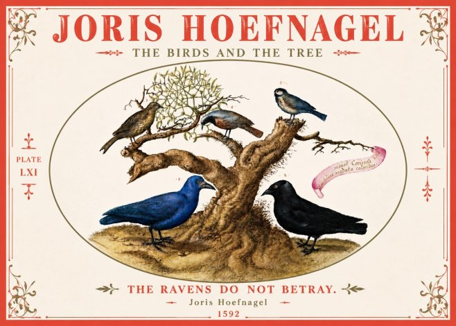 Joris Hoefnagel The Birds and the Tree No6 - Poszter