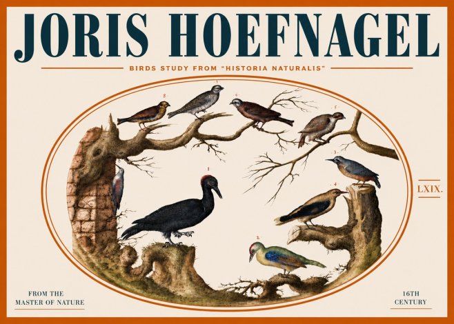 Joris Hoefnagel Birds in an Oval Frame No5 - Poszter