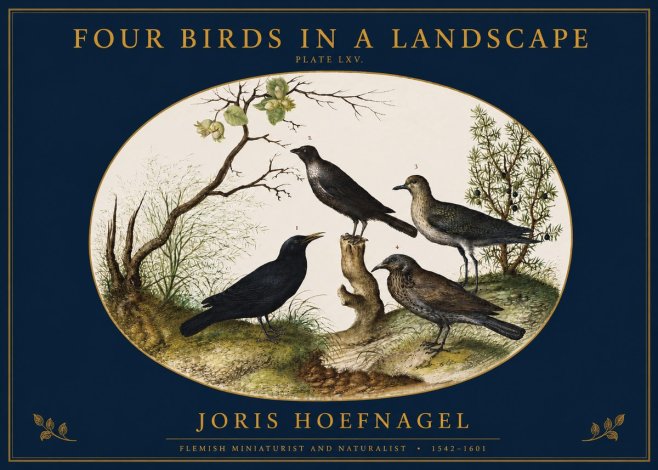 Joris Hoefnagel Four Birds in a Landscape No2 - Poszter