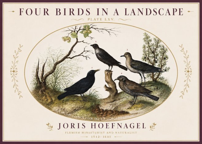 Joris Hoefnagel Four Birds in a Landscape No4 - Poszter