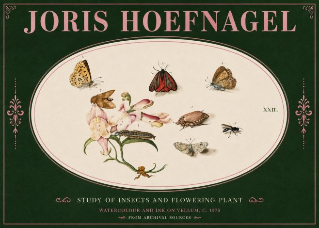 Joris Hoefnagel Study of Insects and Flowering Plant No4 - Poszter