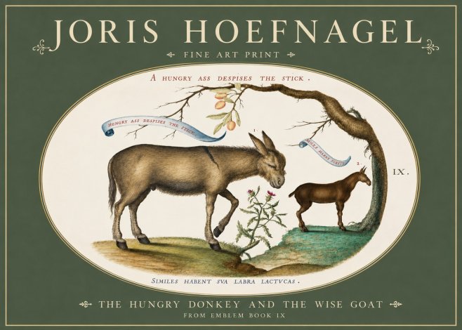Joris Hoefnagel The Hungry Donkey and the Wise Goat No3 - Poszter