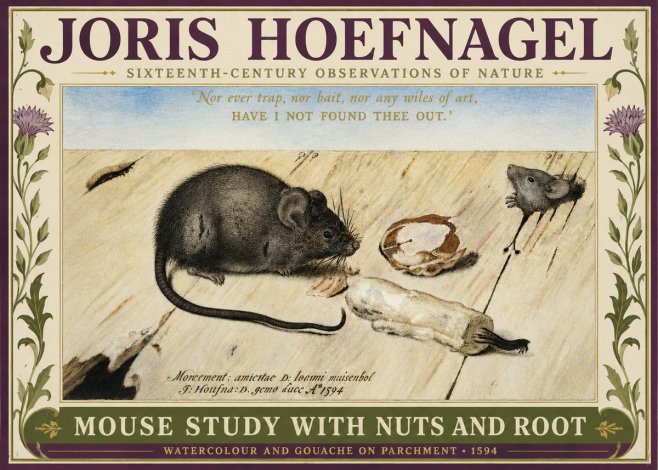 Joris Hoefnagel Mouse Study with Nuts and Root No3 - Poszter