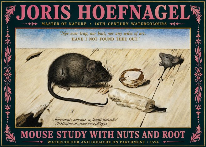 Joris Hoefnagel Mouse Study with Nuts and Root No5 - Poszter
