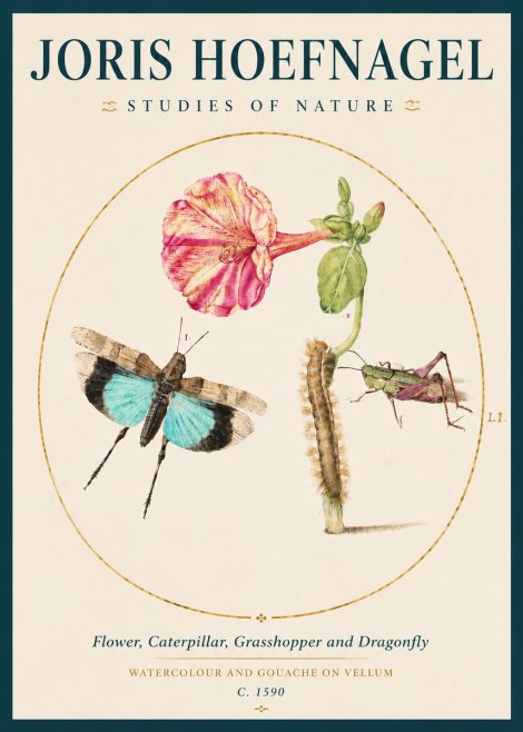 Joris Hoefnagel Plate L1. Studies of Insects and Plants No4 - Poszter