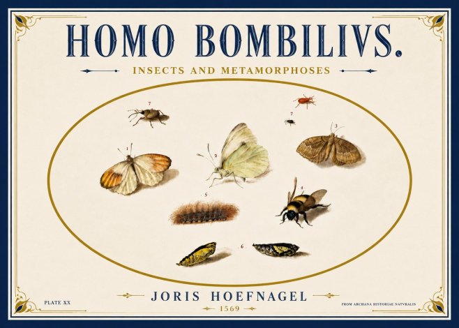 Joris Hoefnagel Homo Bombilivs. Insecta Et Metamorphoses No6 - Poszter