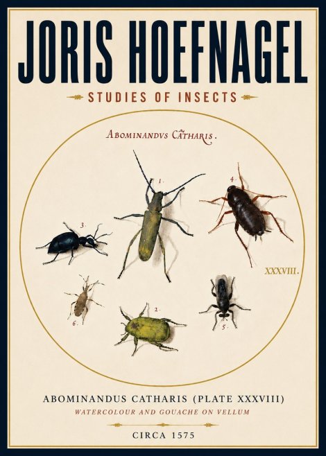 Joris Hoefnagel Abominandus Catharis (Plate Xxxviii) No4 - Poszter