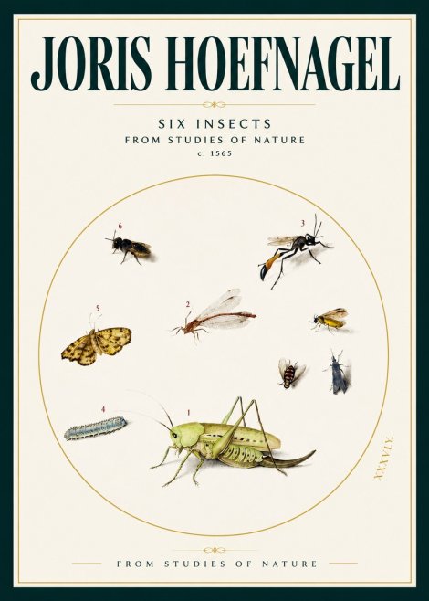 Joris Hoefnagel Six Insects from Studies of Nature C. 1565 No2 - Poszter