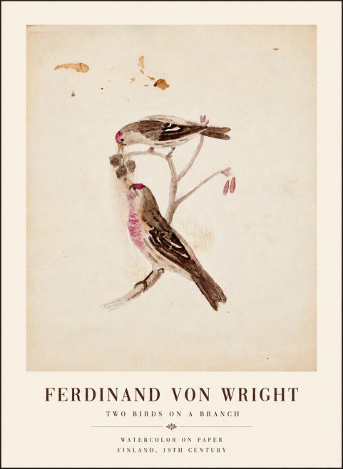 Ferdinand von Wright Two Birds on a Branch No1 - Poszter