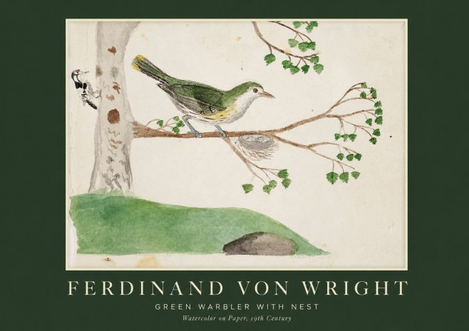Ferdinand von Wright Green Warbler with Nest No1 - Poszter