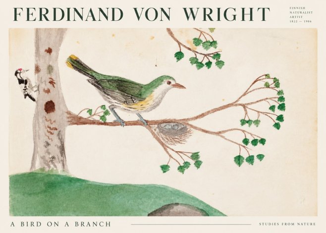 Ferdinand von Wright Green Warbler with Nest No3 - Poszter