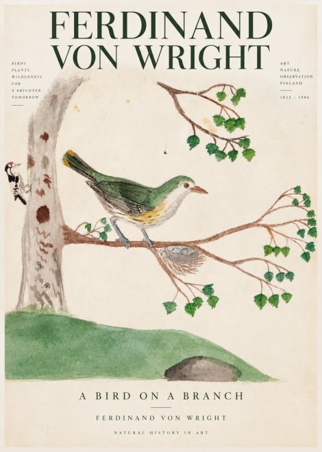 Ferdinand von Wright Green Warbler with Nest No4 - Poszter