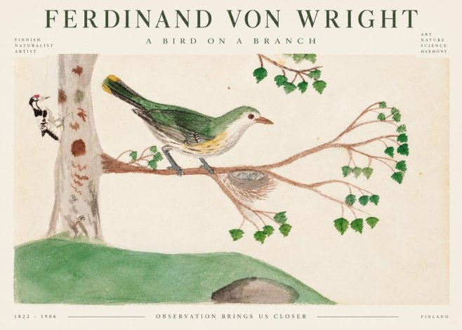 Ferdinand von Wright Green Warbler with Nest No5 - Poszter