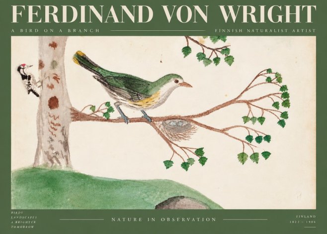 Ferdinand von Wright Green Warbler with Nest No6 - Poszter