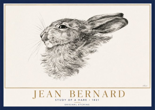 Jean Bernard Study of a Hare No3 - Poszter