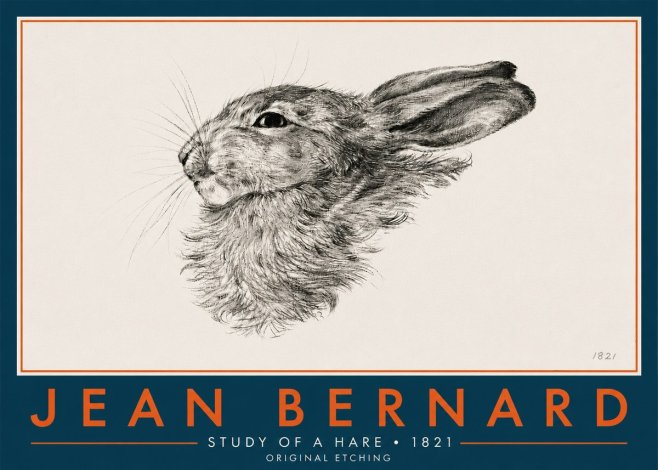 Jean Bernard Study of a Hare No6 - Poszter