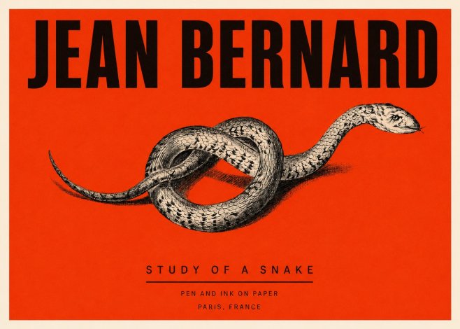 Jean Bernard Study of a Snake No3 - Poszter