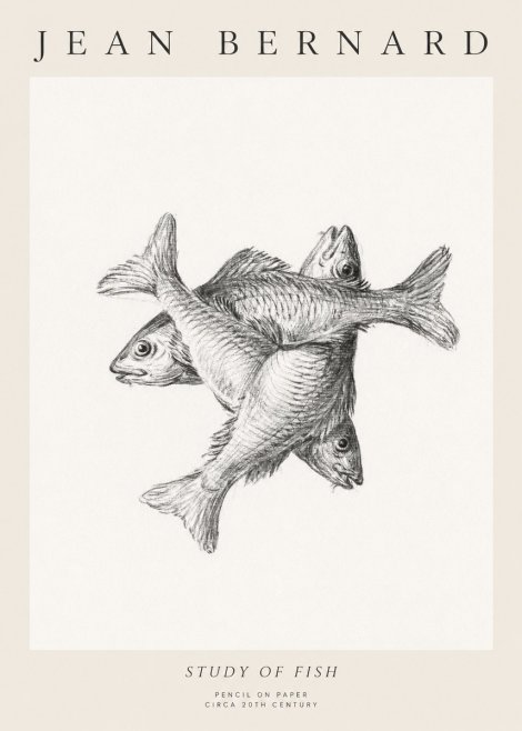 Jean Bernard Study of Fish No1 - Poszter