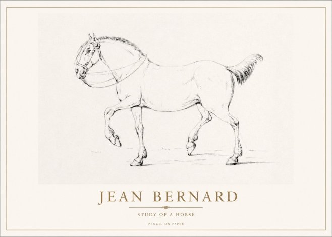 Jean Bernard Study of a Horse XVI No1 - Poszter