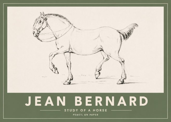 Jean Bernard Study of a Horse XVI No4 - Poszter