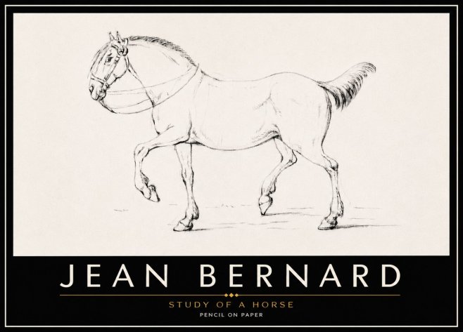 Jean Bernard Study of a Horse XVI No6 - Poszter
