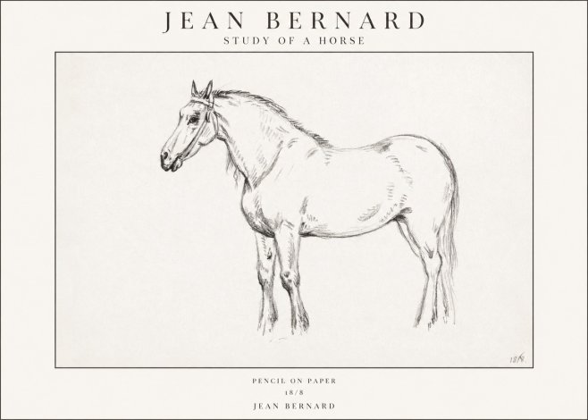 Jean Bernard Study of a Horse XVII No1 - Poszter