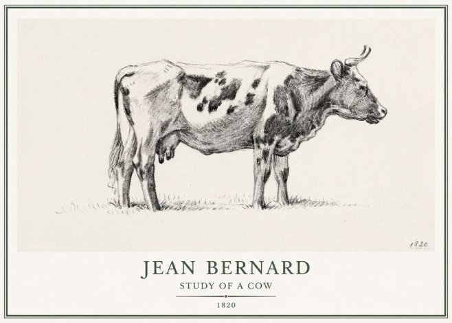 Jean Bernard Study of a Cow XX No1 - Poszter