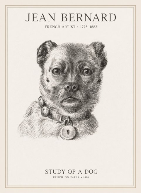 Jean Bernard Study of a Dog IV No1 - Poszter