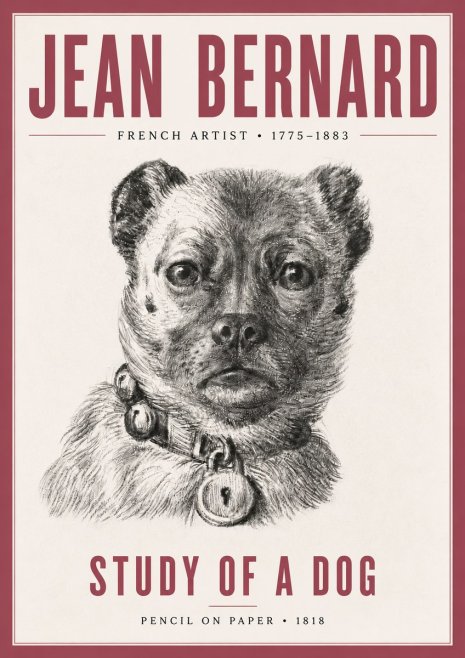 Jean Bernard Study of a Dog IV No5 - Poszter